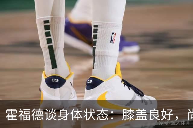 霍福德谈身体状态：膝盖良好，尚未与波尔津吉斯沟通