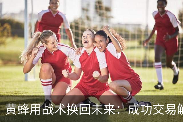 黄蜂用战术换回未来：成功交易解压午餐